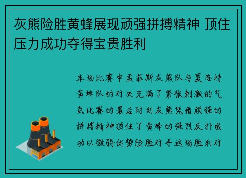 灰熊险胜黄蜂展现顽强拼搏精神 顶住压力成功夺得宝贵胜利